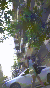 内容图片