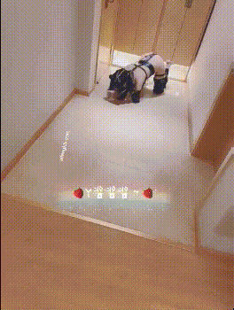 内容图片